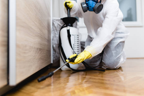 Best Local Pest Control Services  in Boca Raton, FL