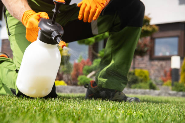 Best Residential Pest Control  in Boca Raton, FL