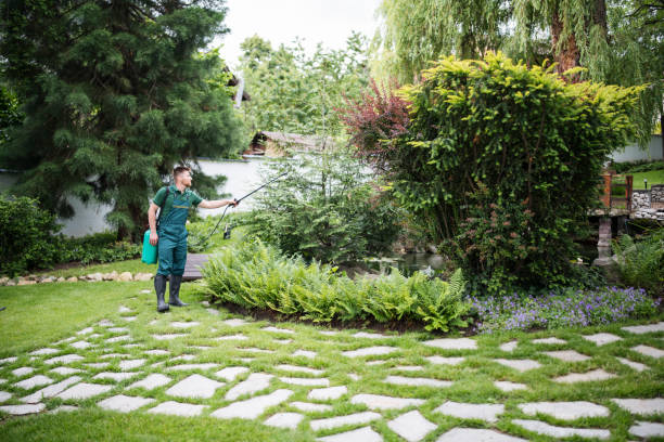 Best Pest Removal Services  in Boca Raton, FL