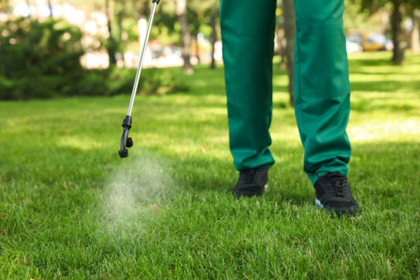 Best Flea Control Services  in Boca Raton, FL