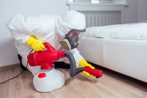 Flea Control Services in Boca Raton, FL