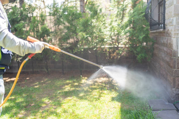 Best Affordable Pest Control Services  in Boca Raton, FL