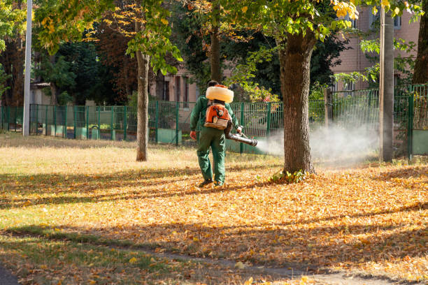 Professional Pest Control in Boca Raton, FL