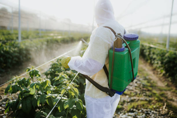 Best Commercial Pest Control Services  in Boca Raton, FL